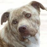 Profile Picture of Jenna Filipo (@jennafilipo) on Instagram