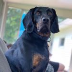 Profile Picture of Jason Ours (@j_ours) on Instagram