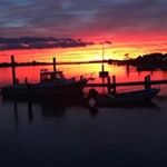 Profile Picture of Daniel Boyd (@danieljamesboyd) on Instagram