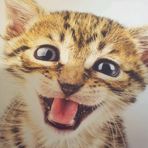 Profile Picture of Paula Wakeman (@paula.wakeman.186) on Facebook