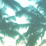 Profile Picture of Vincent Haji (@Vincent-Haji) on Facebook