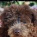Profile Picture of Stuart Weiner (@stuart.weiner.94) on Facebook