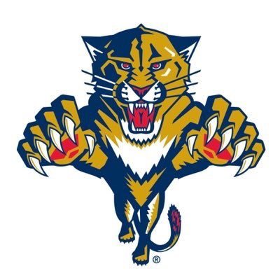 Profile Picture of Robin Bruno (@RobinPantherFan) on Twitter