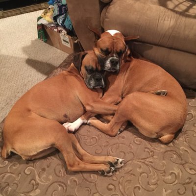 Chris Crossen - Twitter Profile Picture of Chris Crossen (@crossen_chris) on Twitter