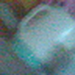 Profile Picture of Bin Xu (@xubin♥) on Flickr