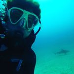 Profile Picture of Michael (@michael_morse_) on Instagram