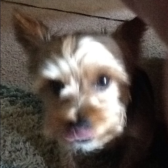 Profile Picture of Glenn Clark (@gl62) on Poshmark