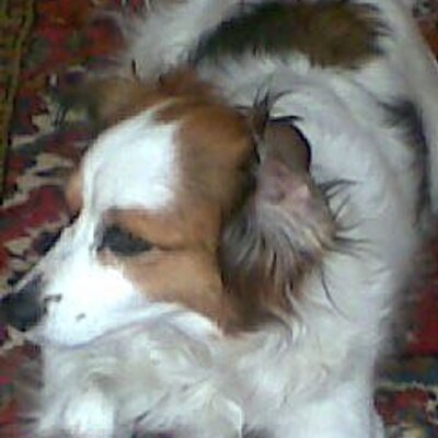 Profile Picture of Gerry Quast (@GerryQuast) on Twitter