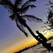 Profile Picture of David Reider (@davidreider4271) on Pinterest