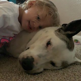 Profile Picture of Gina Attra Wilhelm (@gina.a.wilhelm) on Facebook