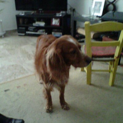 Profile Picture of Dimitris Dimopoulos (@deme_dimo) on Twitter