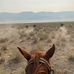 Profile Picture of Todd Edmunds (@todd.edmunds.5095) on Facebook