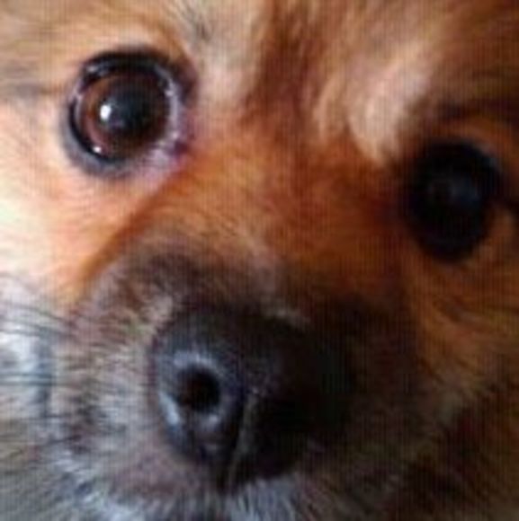 Shae Kierukstys - Poshmark Profile Picture of Shae Kierukstys (@shastysinlm) on Poshmark