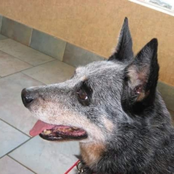 Profile Picture of Greg Ward (@unclegregor) on Poshmark