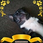 Profile Picture of Mindy Shelly Johnson (@mindyshellyjohnson) on Instagram