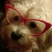 Profile Picture of Heidi Wilhelm (@heidi.wilhelm.1401) on Facebook