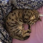 Profile Picture of Christiane scheibel (@christianescheibel) on Instagram