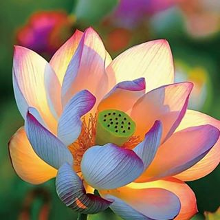 Profile Picture of Kenny Xie (@kenny.xie.52) on Facebook