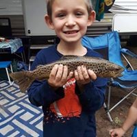 Profile Picture of Trevor Rawdon (@trevor-rawdon-1) on Quora