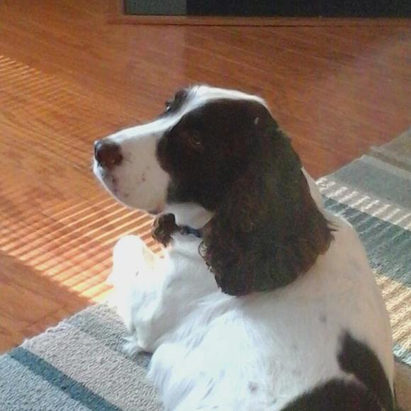 Profile Picture of Nancy Bradley (@nancybradley44) on Poshmark