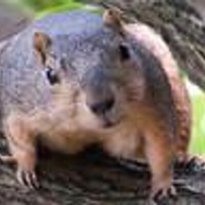 Profile Picture of Marilyn Gee (@mgeecar) on Twitter