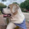 Profile Picture of Martin s (@martin.sanchezz19) on Tiktok
