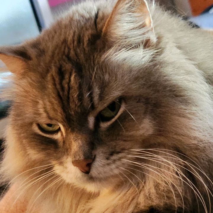 Profile Picture of davidkettewell (@davidkettewell) on Tiktok