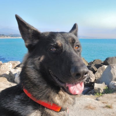 Profile Picture of Bill Steiner (@BillSteiner8) on Twitter