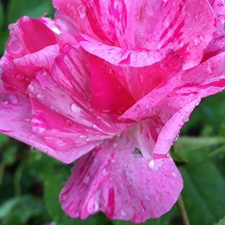 Profile Picture of Viola Schröder (@viola.schroder.560) on Facebook