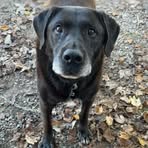 Profile Picture of Bryan Gaden (@Bryan-Gaden) on Facebook