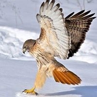 Profile Picture of John Wagner (@john-wagner-120) on Quora