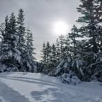 Profile Picture of Perry Shadwick (@perry.shadwick.2025) on Facebook