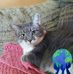 Profile Picture of Bryan Beets (@bryan.beets.188) on Facebook