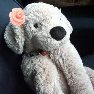 Rosa_bianca - Twitter Profile Picture of Rosa_bianca (@rosa_bianca3) on Twitter