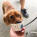 Profile Picture of Jeffrey Michael Saxby (@jeffrey_the_cav) on Instagram