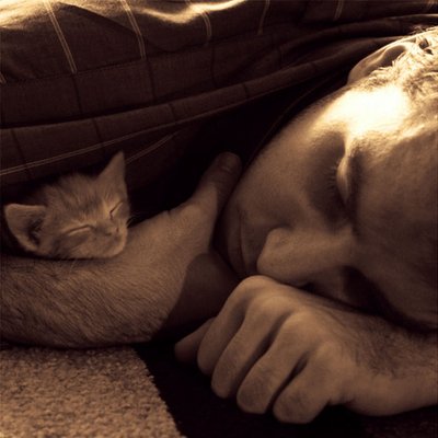 Profile Picture of Christopher Brophy (@Calwen) on Twitter