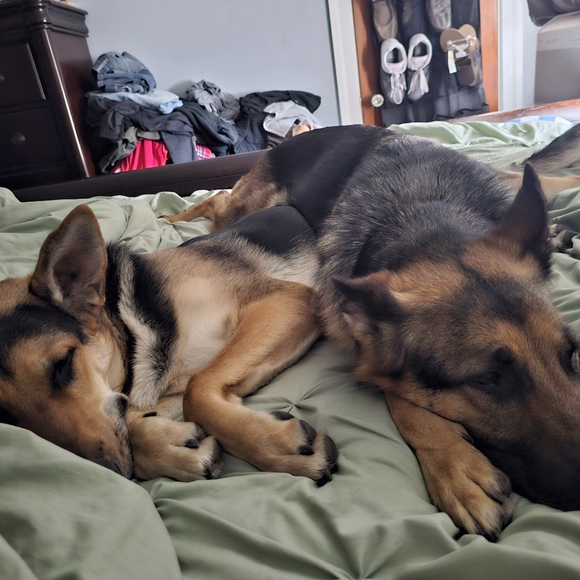 Profile Picture of Edward Phillips (@ephillips2142) on Poshmark