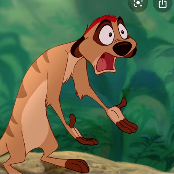 Profile Picture of Lucy Faletti (@lucyfaletti_) on Poshmark