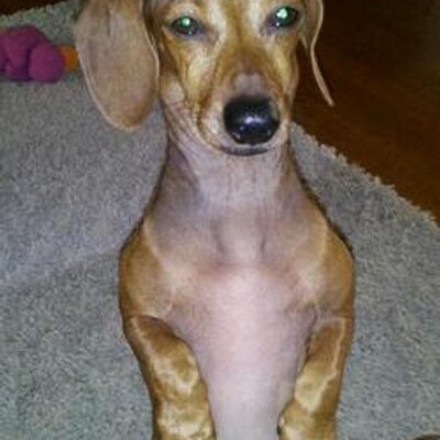 Profile Picture of Jasonosterberg (@josterberg1980) on Twitter