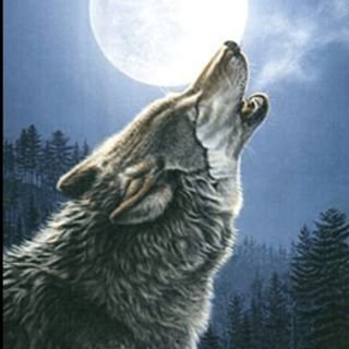 Profile Picture of Bob Logue (@BobLogue2) on Twitter