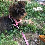 Profile Picture of Annamaria Morichelli (@morichelli) on Instagram