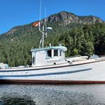 Profile Picture of Martin Milner (@martin.milner.587) on Facebook