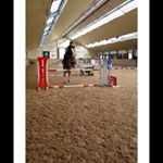 Profile Picture of 🍉watermeloentje🍉 (@louisehendrix2019) on Instagram