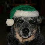 Profile Picture of Scott Eisenhower Sr. (@eisenhowersr.scott) on Instagram