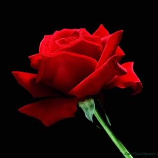 Profile Picture of James Desouza (@James-Desouza) on Facebook