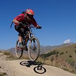 Profile Picture of Dave Marks (@daveymarks) on Instagram