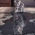 Profile Picture of Jean-Paul Labuz (@jeanpaullabuz) on Instagram