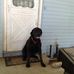 Profile Picture of Joe Haskell Sr. (@Joe-Haskell-Sr) on Facebook