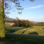 Profile Picture of Stephen Panyko (@toooldtodance) on Instagram