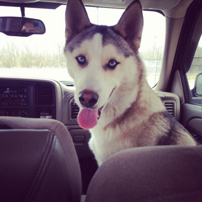 Profile Picture of Mark Kaleb Ashcraft (@mark_kaleb) on Twitter